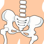 【2025年最新】腰痛にマッサージは本当に効果あり？科学的根拠と対策を解説